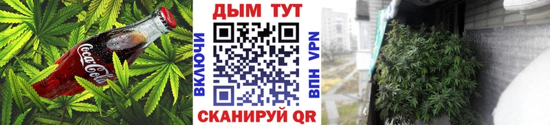 купить наркоту  Малаховка  Canna-Cookies конопля 