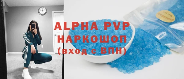 гашик Алексин