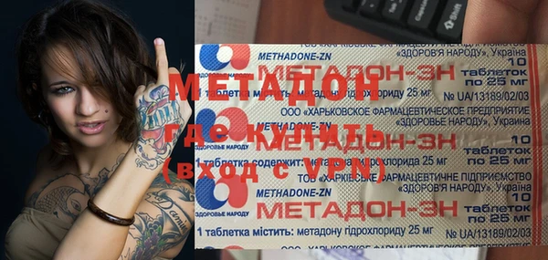 шишки Гусиноозёрск