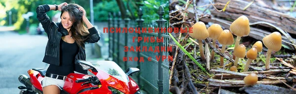 дмт Алексеевка