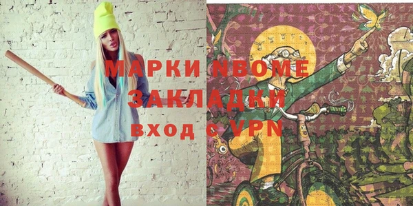 гашик Алексин