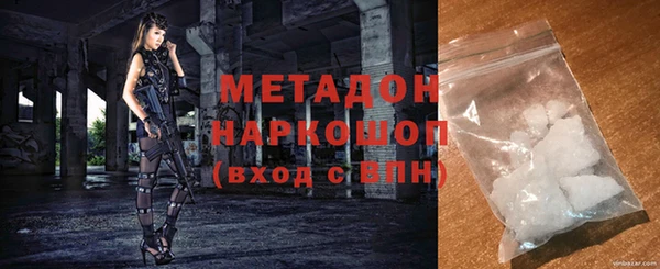 гашик Алексин