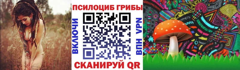 Псилоцибиновые грибы MAGIC MUSHROOMS  даркнет сайт  Малаховка 